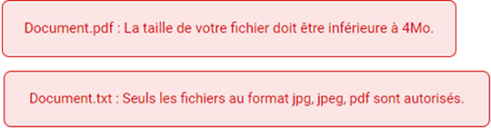 Exemples de message d'erreur : Document.pdf : la taille de votre fichier doit être inférieure à 4 Mo. Document.txt : seuls les fichiers au format .jpg, jpeg, pdf sont autorisés
